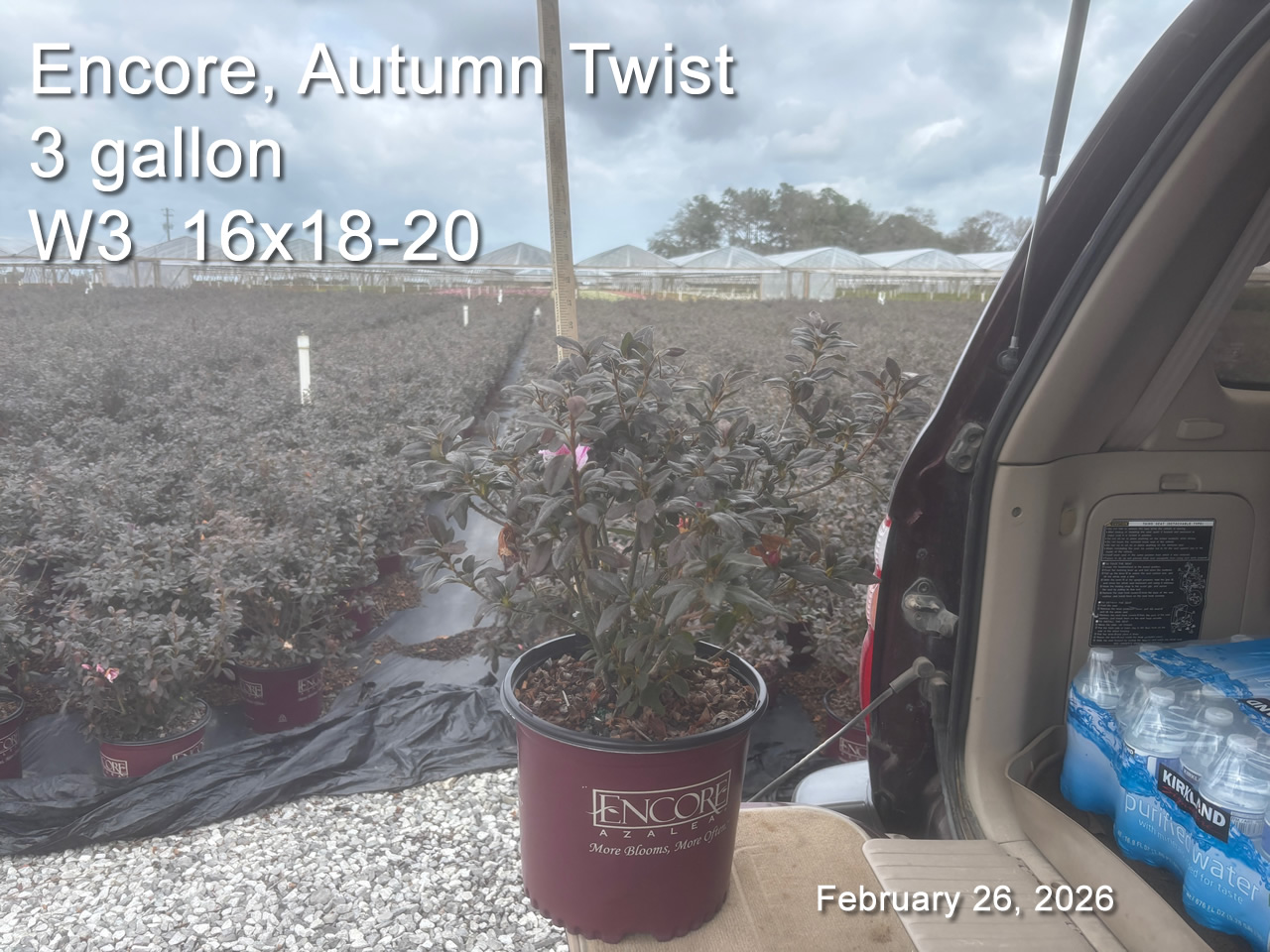 gallery/etwt3 w3 feb26.jpg